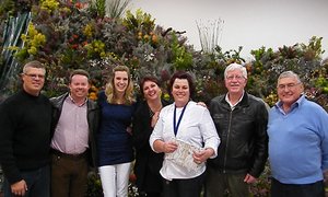 Wynproe tussen Fynbos